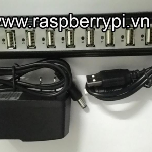 USB Hub 10 Port - Có nguồn riêng 5V 2A