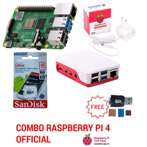 Combo Raspberry Pi 4 Official