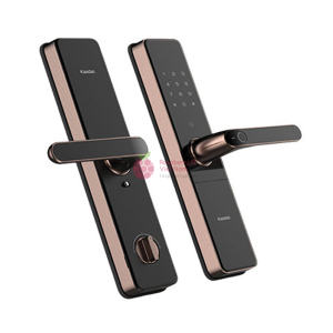 Khóa cửa thông minh Kaadas S500-C5